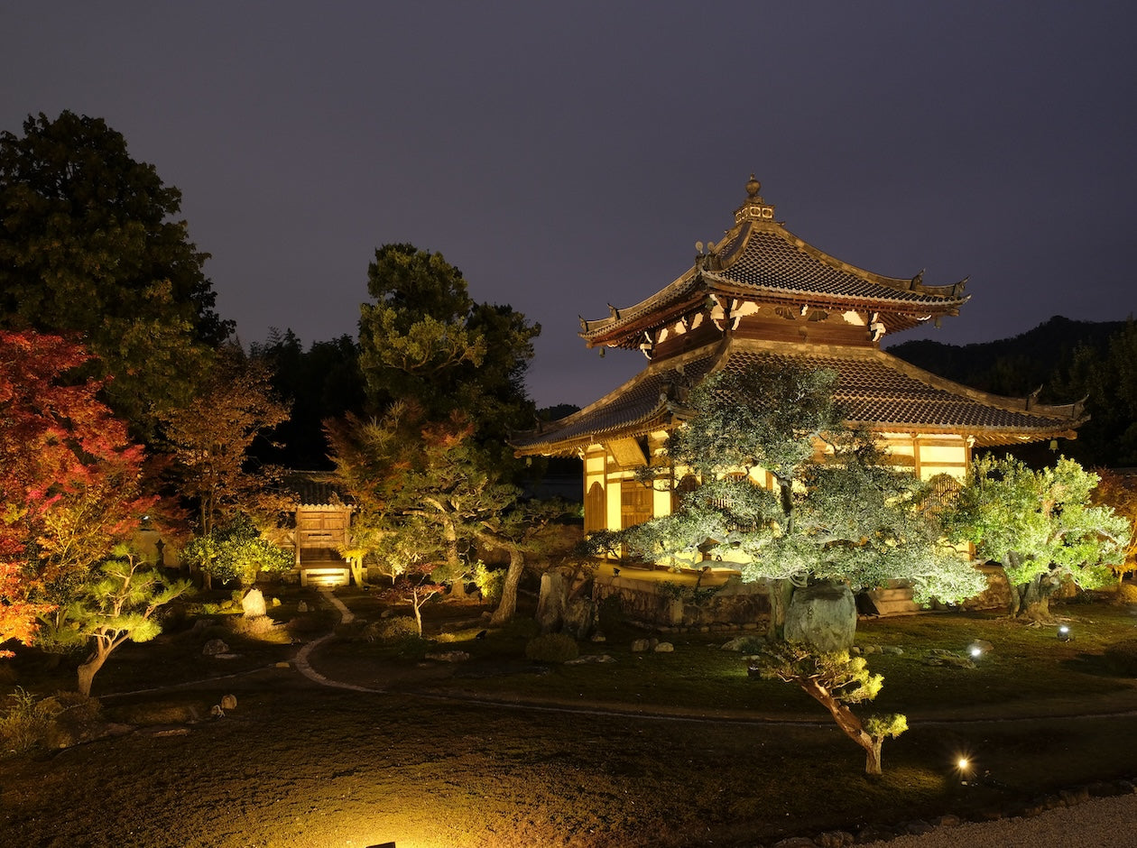 京都・嵐山［鹿王院］夜間特別拝観 2025〜紅葉に灯りがともる夜〜