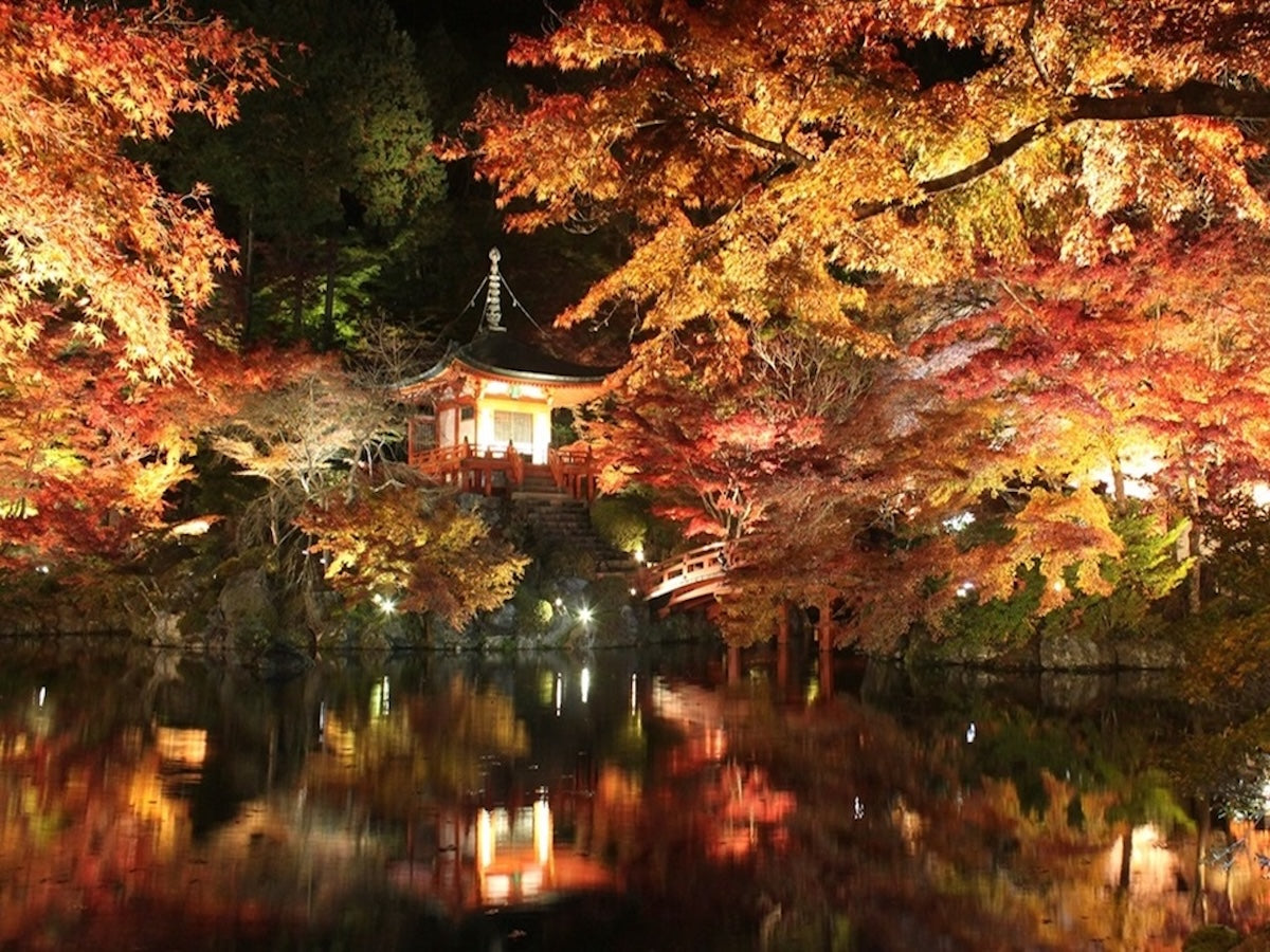 京都・伏見［醍醐寺］ 秋期夜間拝観 2025  〜光と紅葉が語りかける、平安の夜へ〜