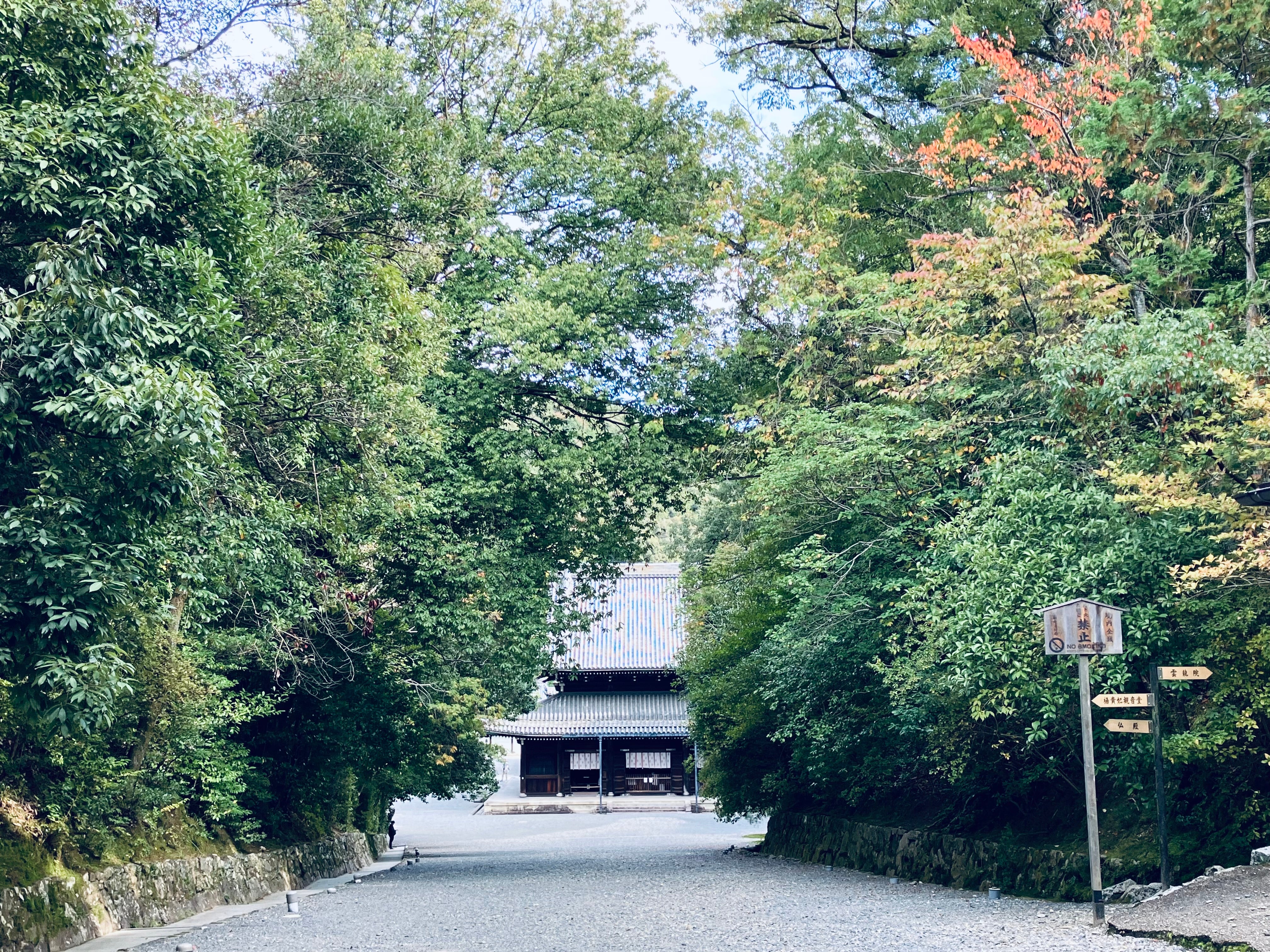 金運爆上げ　持ってる人まずいません。京都泉涌寺　法音院　不空羂索観音　御守護符 02_01.jpg